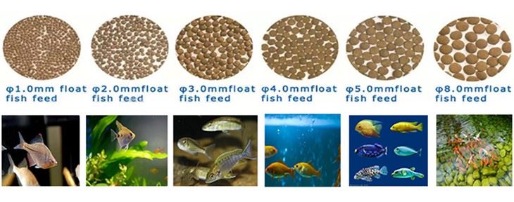 เครื่องอัดรีดอาหารกุ้งลอยน้ำ